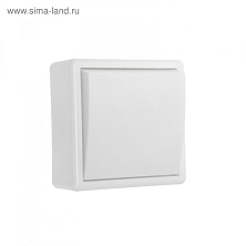 Выключатель "Элект" А 16-116, 6 А, 1 клавиша, наружный, белый 4645294