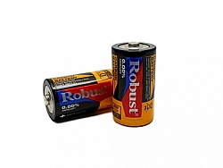 Батарейка Robust Electrical energy experts R20