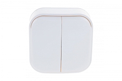 Выключатель 2-кл серия IONICH, о/у, 10А, 220В, белый (еврослот) 1413