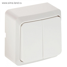 Выключатель Luazon Lighting "СПБ", 10 А, 2 клавиши, белый 3092312