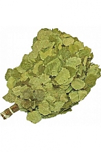 Веник Осина